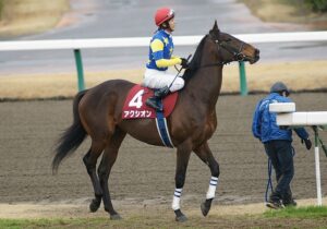 082503 300x210 - 重賞2勝アクシオンが競走馬登録抹消、札幌競馬場で乗馬へ　JRA最後のサンデーサイレンス産駒