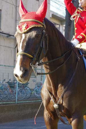 083106 - 日経賞優勝のテンジンショウグン、警視庁騎馬隊での役目を終え北海道で余生
