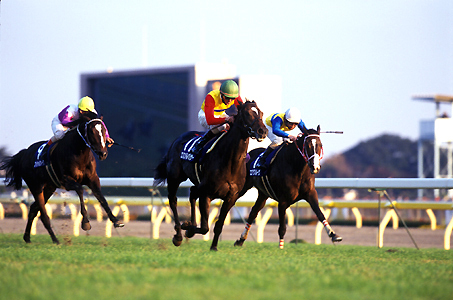 090601 - 東京２４００勝った馬が最強馬という風潮