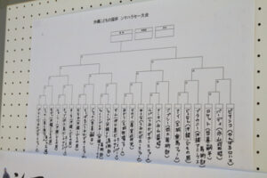 0e4a0299 300x200 - 70年ぶり開催の琉球競馬『ンマハラシー』　岡部幸雄さんも与那国の衣装で参戦、優勝候補とされながら2回戦敗退