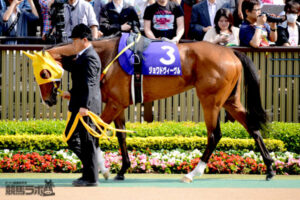 6b840c5b 300x200 - ジョワドヴィーヴル（阪神ジュベナイルF優勝馬）が調教中に骨折、予後不良