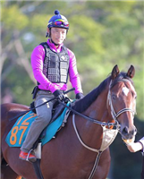 9495b9de - 頚椎骨折のため療養中の後藤浩輝騎手(39)、復帰へ前進　美浦で調教に騎乗「馬の上は一番落ち着く」