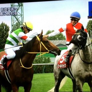 keiba 1408861679 35001 300x300 - 現役最強牝馬ハープスター、札幌記念で堂々勝利！