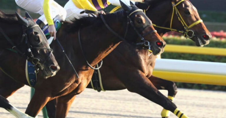 【考察】突然変異だと思われる馬